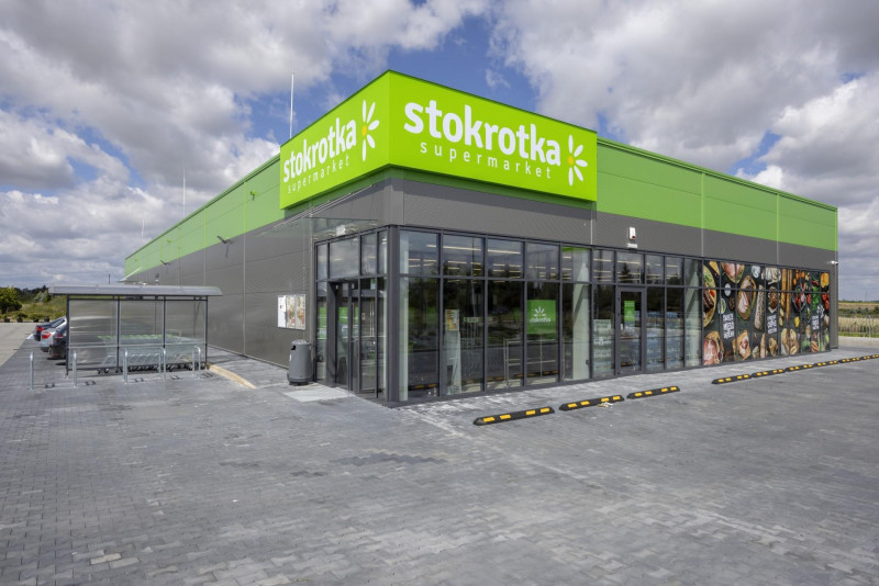 PL006784 STOKROTKA MIGROLA